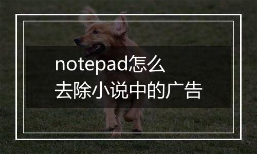 notepad怎么去除小说中的广告