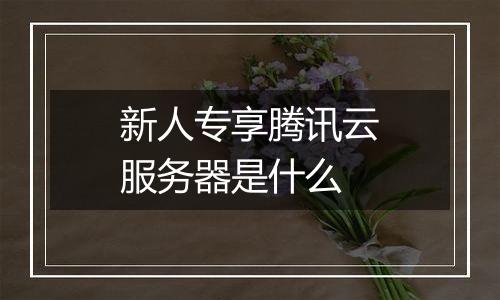 新人专享腾讯云服务器是什么