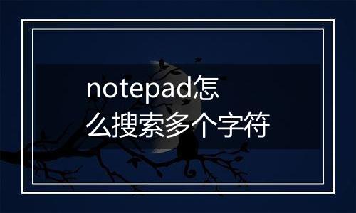 notepad怎么搜索多个字符