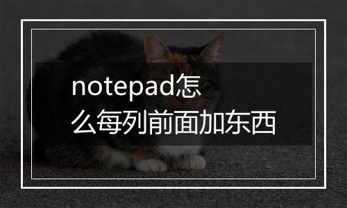 notepad怎么每列前面加东西