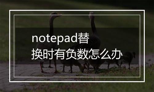 notepad替换时有负数怎么办