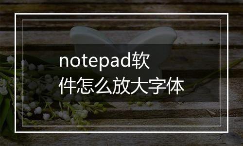 notepad软件怎么放大字体