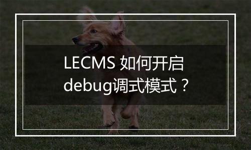 LECMS 如何开启debug调式模式？