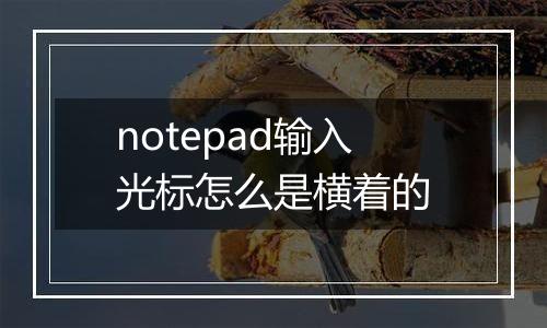 notepad输入光标怎么是横着的