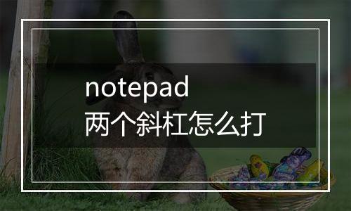 notepad两个斜杠怎么打
