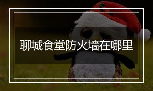 聊城食堂防火墙在哪里