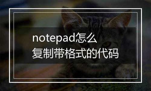 notepad怎么复制带格式的代码