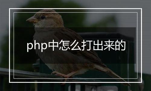 php中怎么打出来的