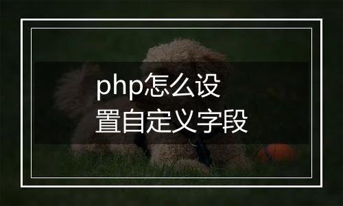 php怎么设置自定义字段