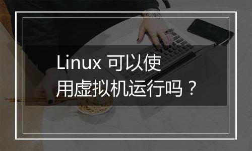 Linux 可以使用虚拟机运行吗?