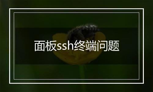 面板ssh终端问题