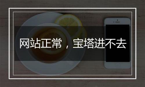 网站正常,宝塔进不去