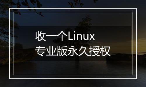 收一个Linux专业版永久授权