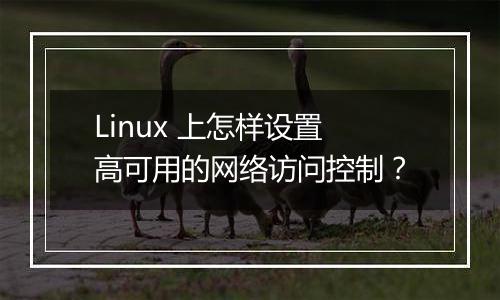 Linux 上怎样设置高可用的网络访问控制?