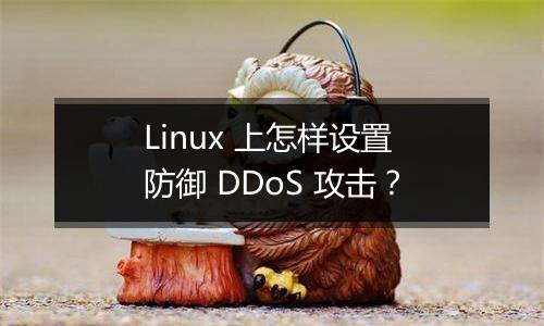 Linux 上怎样设置防御 DDoS 攻击?