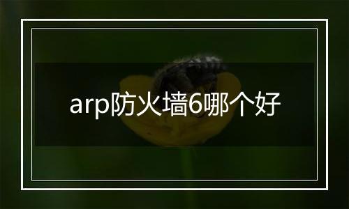 arp防火墙6哪个好