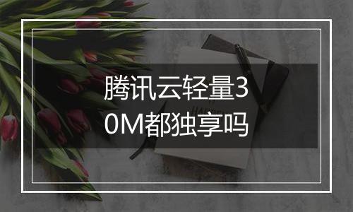 腾讯云轻量30M都独享吗
