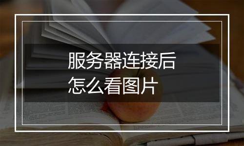 服务器连接后怎么看图片