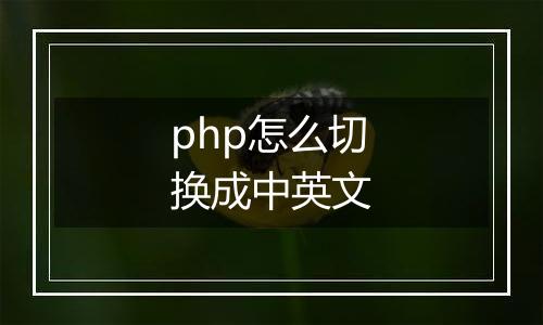 php怎么切换成中英文