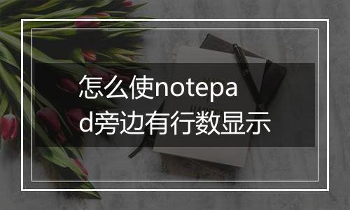 怎么使notepad旁边有行数显示