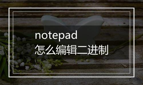 notepad怎么编辑二进制