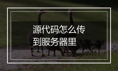 源代码怎么传到服务器里