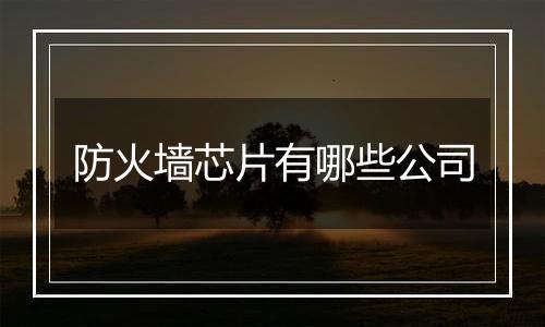防火墙芯片有哪些公司