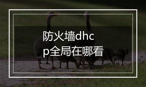 防火墙dhcp全局在哪看
