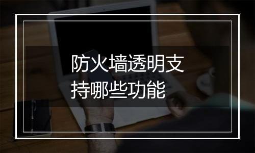 防火墙透明支持哪些功能