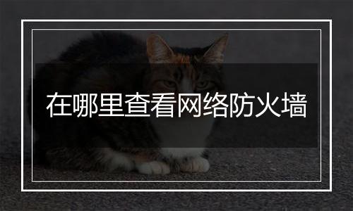 在哪里查看网络防火墙