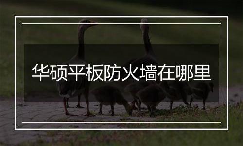 华硕平板防火墙在哪里