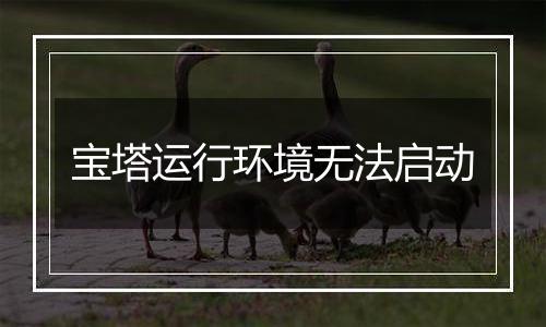 宝塔运行环境无法启动