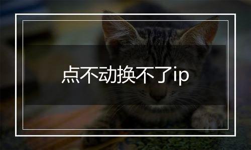 点不动换不了ip