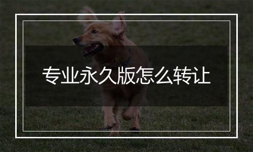 专业永久版怎么转让