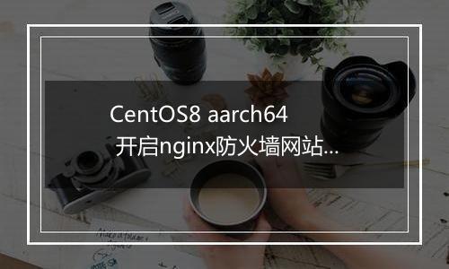 CentOS8 aarch64 开启nginx防火墙网站500