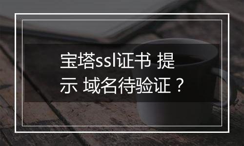 宝塔ssl证书 提示 域名待验证?