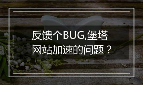 反馈个BUG,堡塔网站加速的问题?