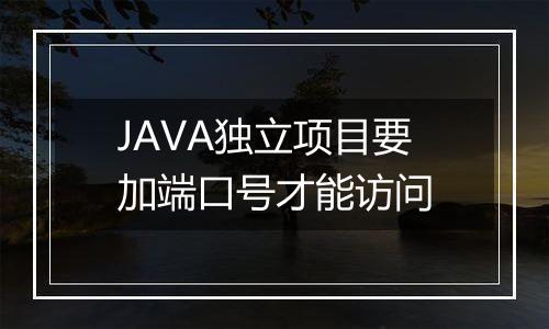 JAVA独立项目要加端口号才能访问