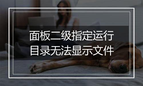 面板二级指定运行目录无法显示文件