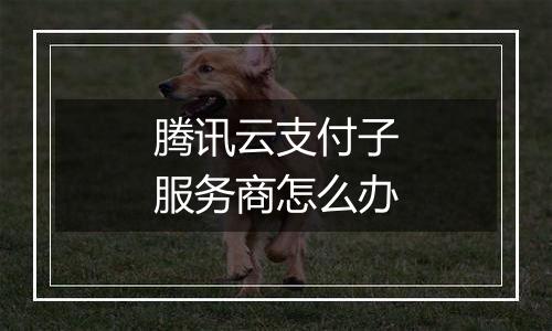 腾讯云支付子服务商怎么办