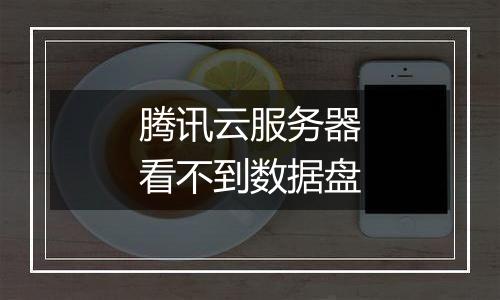 腾讯云服务器看不到数据盘