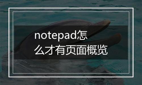 notepad怎么才有页面概览