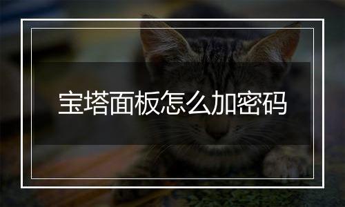 宝塔面板怎么加密码