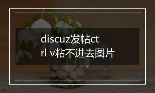 discuz发帖ctrl v粘不进去图片