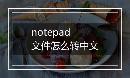 notepad文件怎么转中文