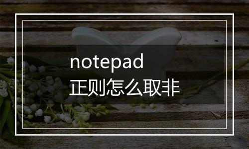 notepad正则怎么取非