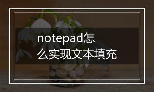 notepad怎么实现文本填充