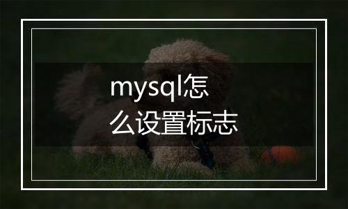 mysql怎么设置标志