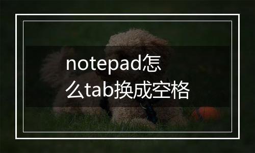 notepad怎么tab换成空格