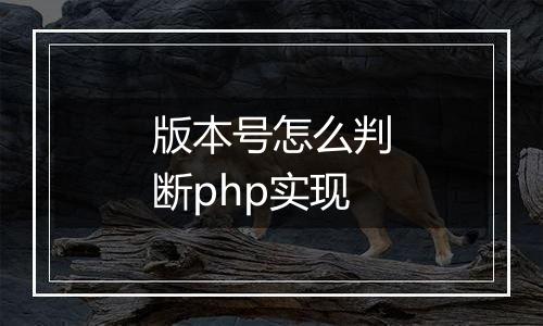 版本号怎么判断php实现